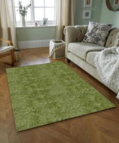 Green Shag Area Rug