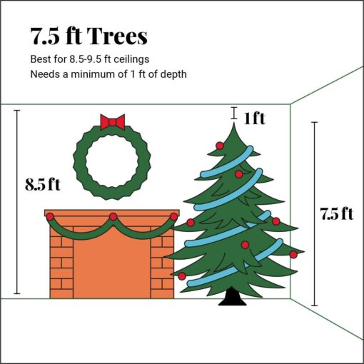 tree dimensions